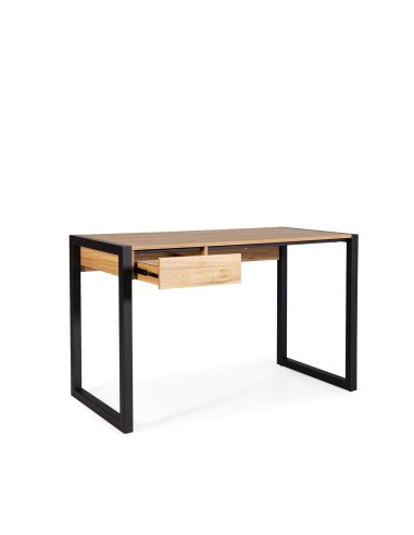 SECRETÁRIA DE DESIGN INDUSTRIAL, DALÍ.