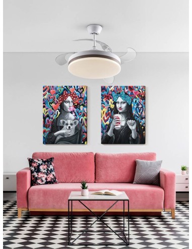 VENTILADOR DE TETO SCHULLER VENTO 50/100 cm....