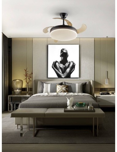 SCHULLER VENTILADOR de techo VENTO 50/100 cm....