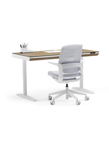 Mesa escritorio elevable WING DUAL MOTOR 140 x...