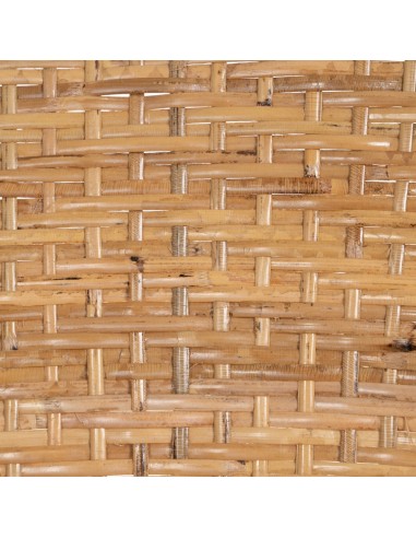 Silla con brazos MIMOSA de ratán natural.