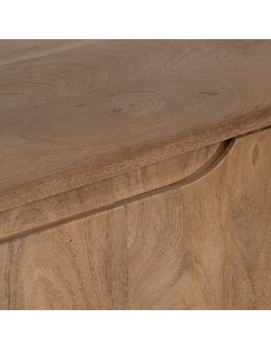 Mueble TV ALGUEMA 2 puertas y 1cajon en madera...