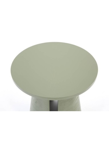 TEULAT MESA DE CANTO REDONDA CEP 50, FRESNO VERDE