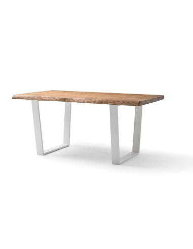 MESA DE DISEÑO , LOLA.