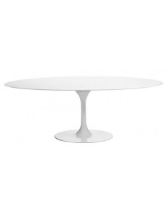 Mesa TUL 160x90, oval, fibra de vidrio, lacada blanca