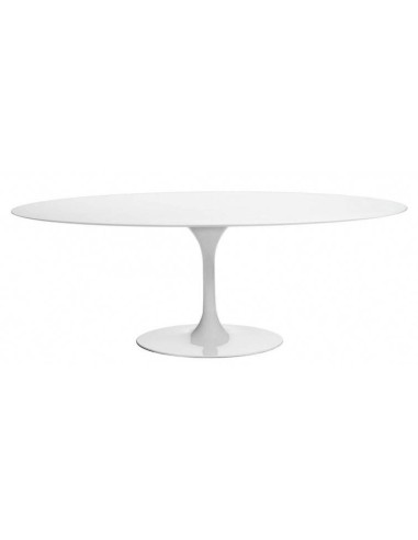 Mesa TUL 160x90, oval, fibra de vidrio, lacada blanca